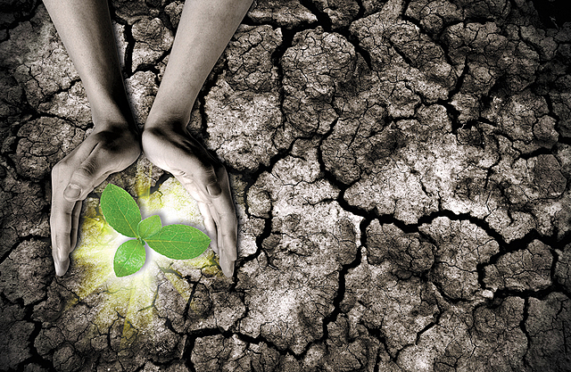 Metas Objetivo 13: Acción por el clima