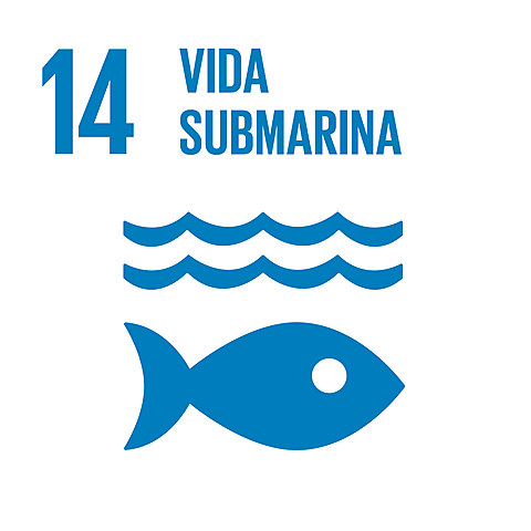 Objetivo 14: Conservar y utilizar en forma sostenible los océanos, los mares y los recursos marinos para el desarrollo sostenible