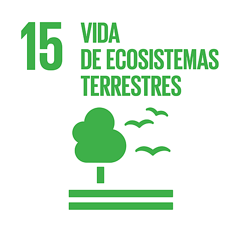 Objetivo 15: Gestionar sosteniblemente los bosques, luchar contra la desertificación, detener e invertir la degradación de las tierras y detener la pérdida de biodiversidad