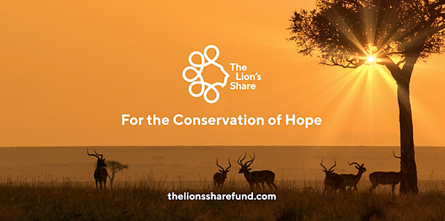 El fondo "The Lion's Share"