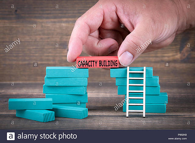 Metas Objetivo 17: Alianzas para lograr los objetivos.- Creación de capacidad