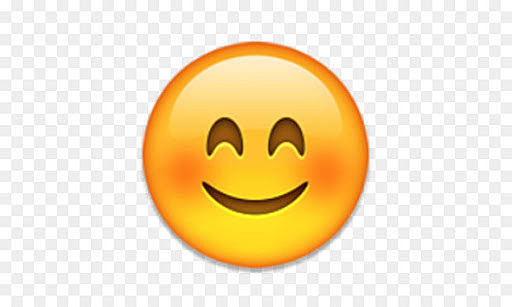 First Day of Senior Year