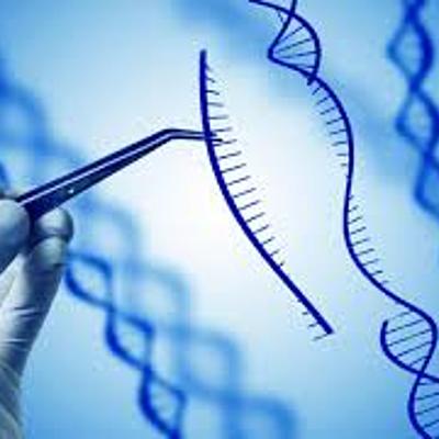 Timeline: Historia de la genética