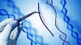 Timeline: Historia de la genética