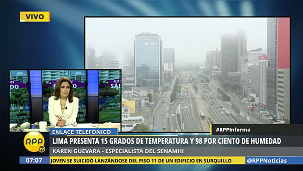 Hablaron los expertos II