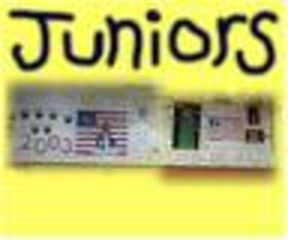 Junior Year