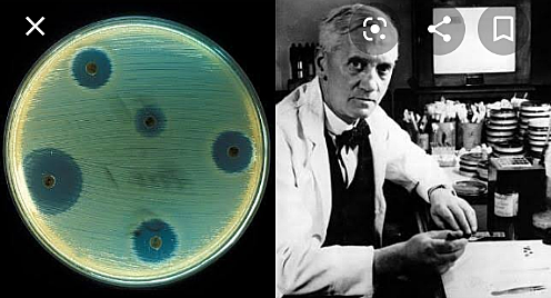 Descubrimiento de la penicilina