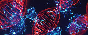 Se secuencia por primera vez el genoma del cáncer