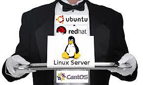 mas de 100 desarrolladores