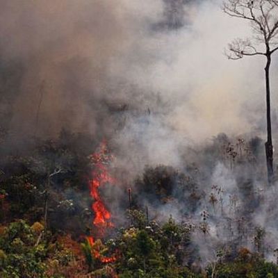 Timeline: Imágenes falsas sobre el incendio en el Amazonas 2019