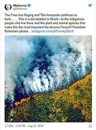 Foto publicada por Madonna en twitter