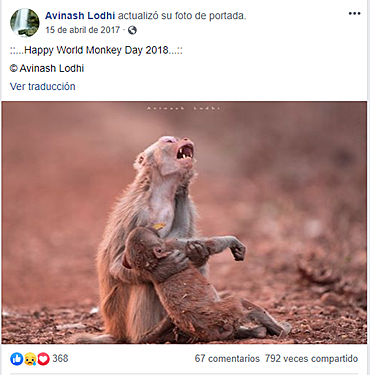 Fotografía de Avinash Lodhi
