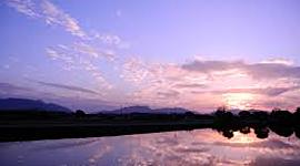 Timeline:  MI VIDA PERSONAL