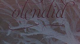 Timeline: Ilusad olendid