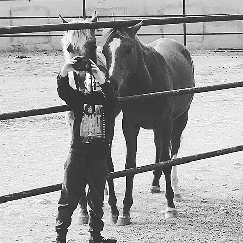 Vaig começar a montar a cavall