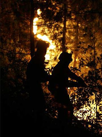 Retenes contra el fuego