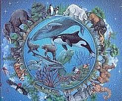 Ecología sobre los animales