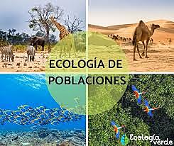 Ecología de las poblaciones