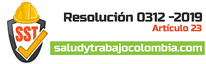 Resolución 0312 del 13 de febrero de 2019