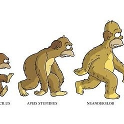 Timeline: el proceso de hominización del ser humano.