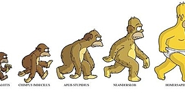 Timeline: el proceso de hominización del ser humano.