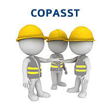 Comité paritario de salud ocupacional