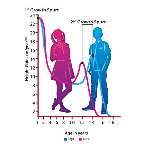 ADOLESCENCE-Growth Spurt (Physical)