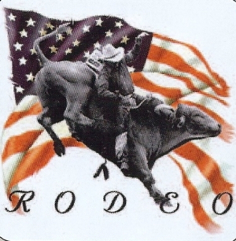 Won the buckle series championship for bull riding