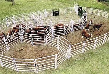 Ordenanza para hacer corrales