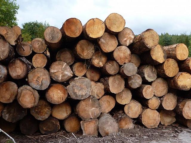 La mayoría de edificaciones eran hechas de madera.