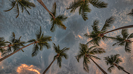 Timeline: 11 MOMENTOS IMPORTANTES DE MI VIDA- valeria artunduaga sierra-ID:751051