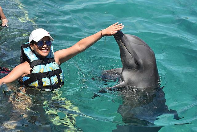 ¡CONOCÍ DELFINES EN PLAYA MUJERES-CANCÚN!