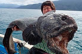 CHERNOBYL THESE DAYS