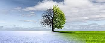 Apenas uma estação!