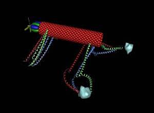 Helicóptero biomolecular.