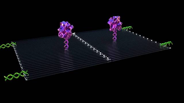 Nanorobots inyectables