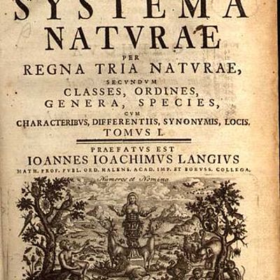 Timeline: Historia de la clasificación de los seres vivos (resumida)