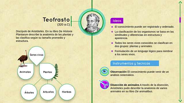 Teofrasto (discípulo de Aristóteles)