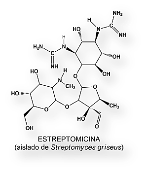 Estreptomicina