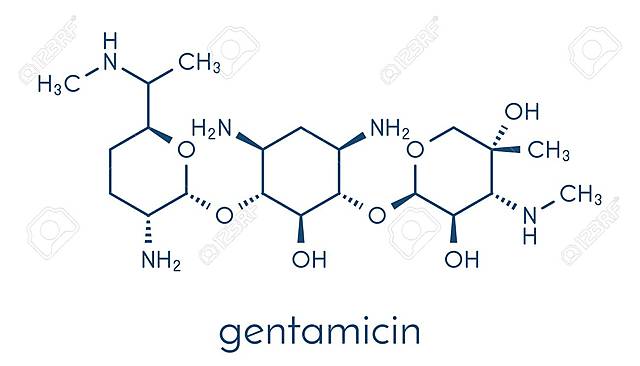 Gentamicina