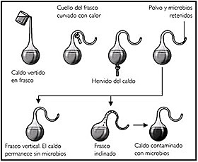 Postulación de la teoría biogenica