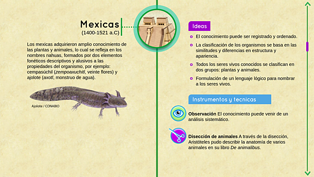 Aztecas: las sociedades no occidentales también creaban conocimientos sobre el mundo natural