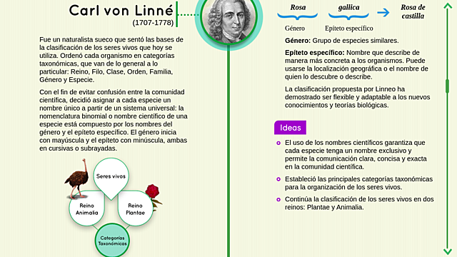 Carl von Linné. Cambios en las denominaciones
