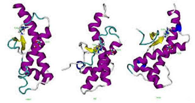 Los priones son entidades infectivas de un tipo totalmente nuevo y original