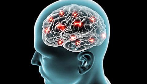 Forskning på hjernen