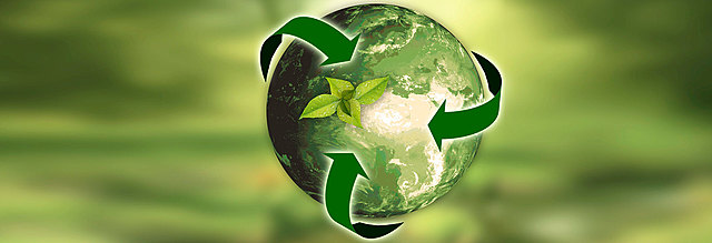 2009 any internacional de l'goril·la: sense pena ni glòria