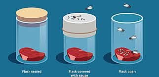 TEORIA DE LA GENERACIÓN ESPONTANEA