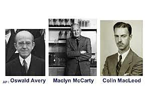 Principio transformante