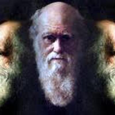 Timeline: teoría de la evolución