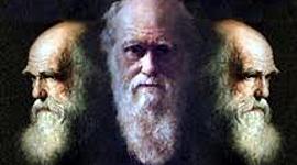 Timeline: teoría de la evolución